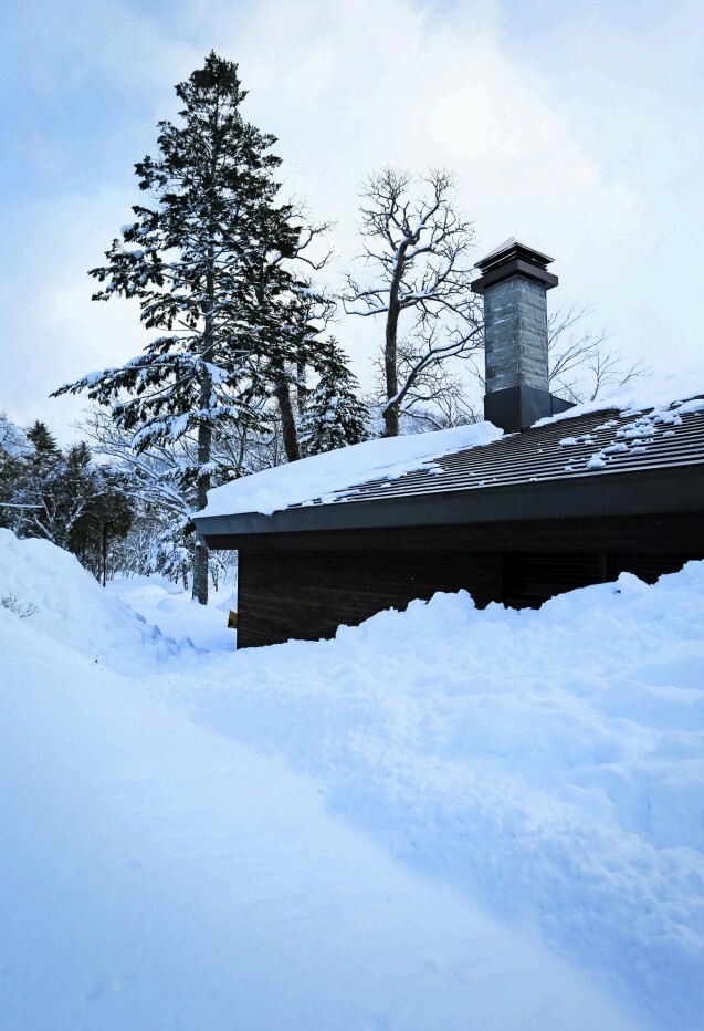 Roof Snow & Ice Dam Removal
